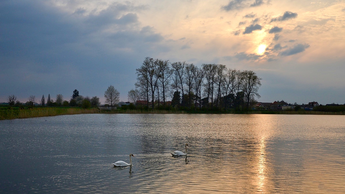 Květnový podvečer