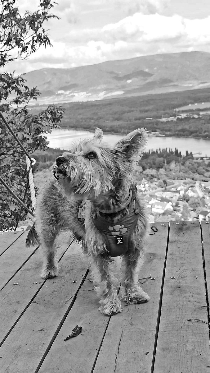 Na vyhlídce pod hradem Hněvín