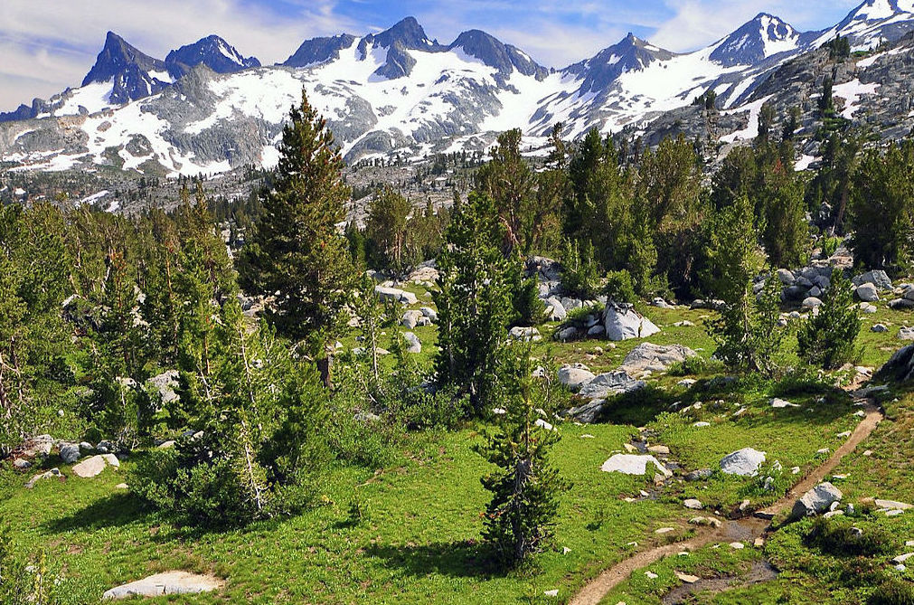 Z mého deníku: Sny se mají plnit