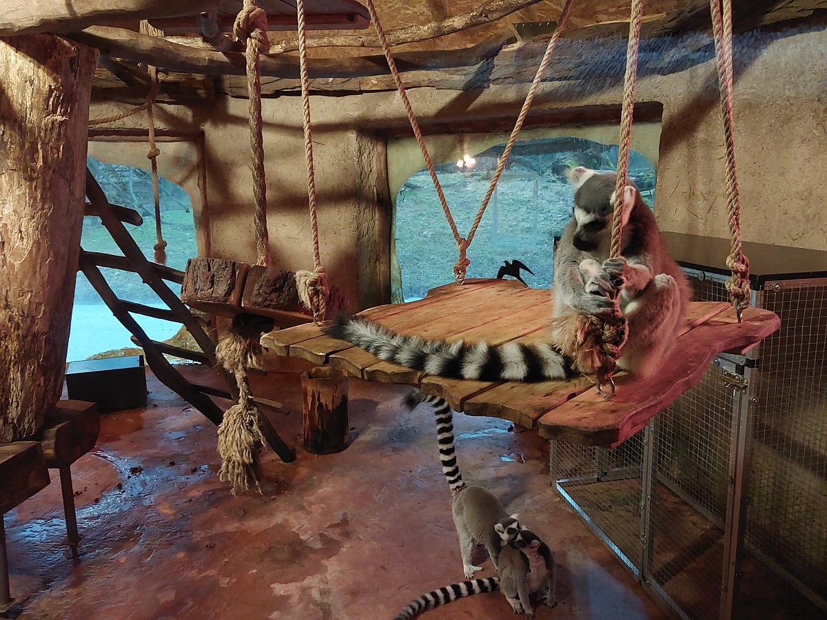 A já tak rád trsám trsám trsám *