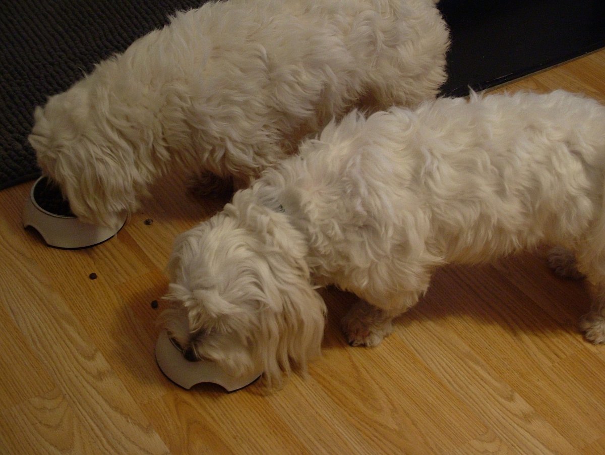 Deníček Betynky: Oslavy s Valdou