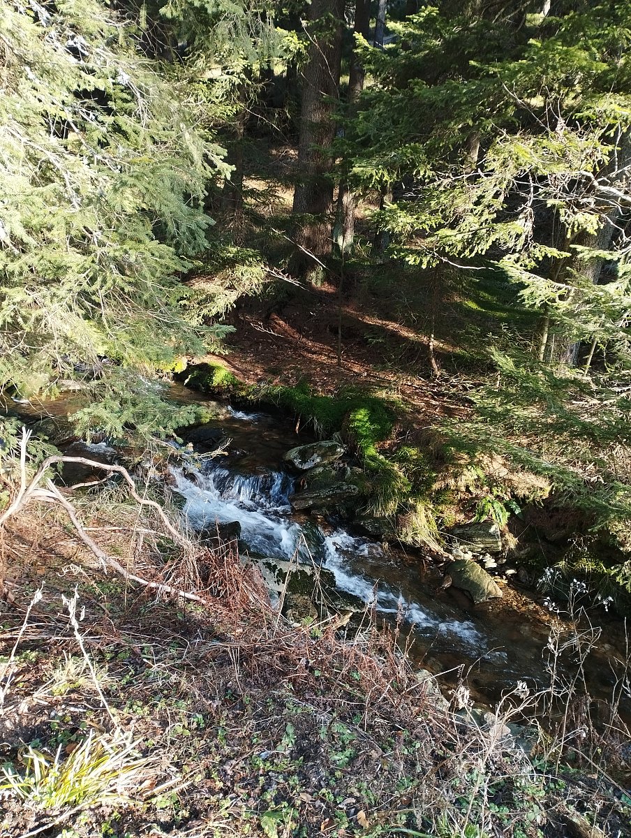 potůčky podle cesty