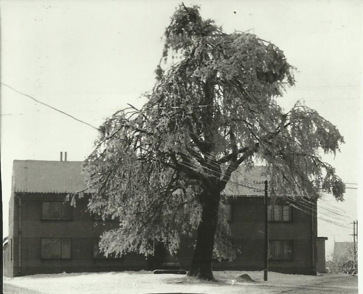 Dříve bývalo sněhu daleko víc