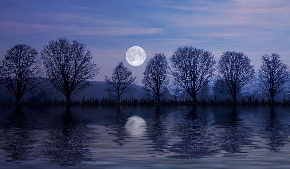 Novoroční zamyšlení: Co je to ticho