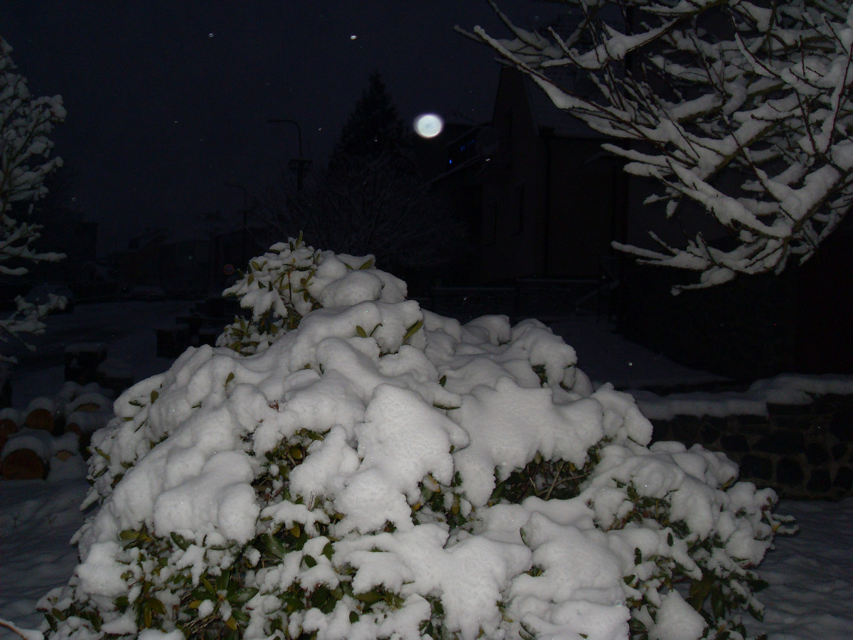 Večerní sněhový zážitek*