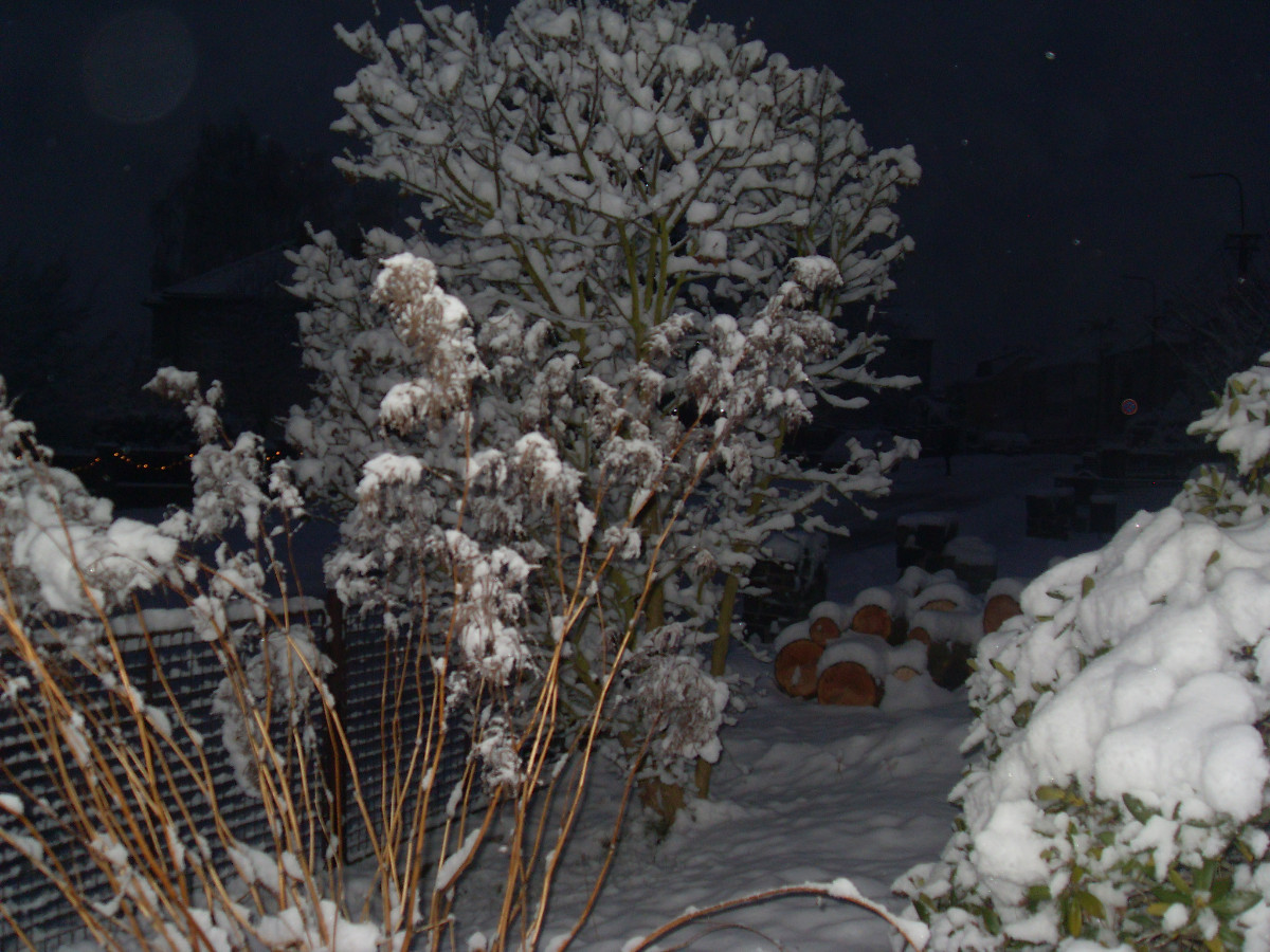 I toto je sněhová krása