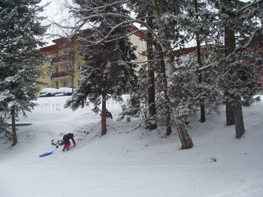 Ano, toto je pro děti ta největší a nejobyčejnější radost na bělostném sněhu ♥