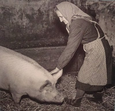 Slasti a neřesti. III. DO TXT