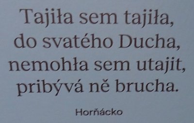Slasti a neřesti. I. POD TXT