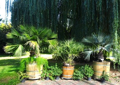 BZ Malešice - POD TXT