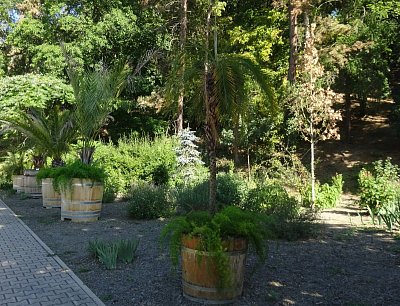 BZ Malešice - POD TXT