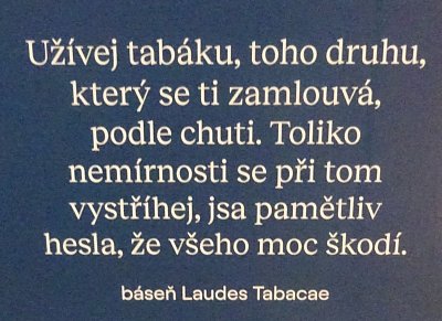 Slasti a neřesti. II. DO TXT