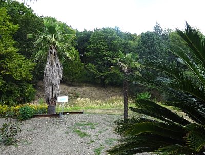 BZ Malešice - POD TXT