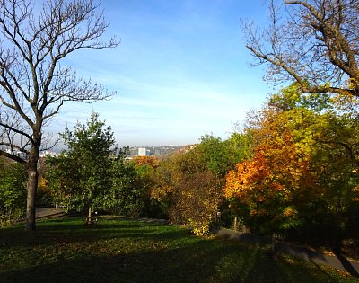20-dsc07409-1.jpg