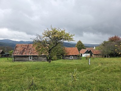 20251007-122426.jpg