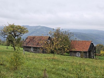 20251010-113905-3.jpg