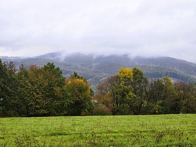 20251010-115818-2.jpg