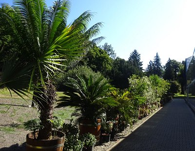 BZ Malešice - DO TXT