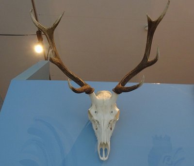 Slasti a neřesti. I. POD TXT