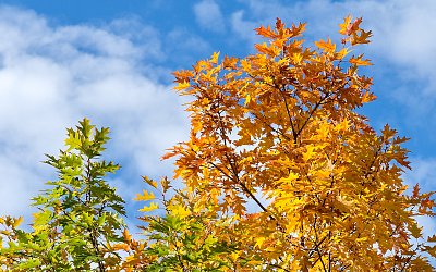 Zářivé podzimní barvy