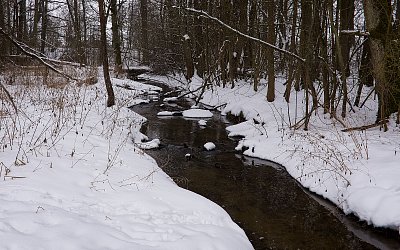 Zasněžený potok