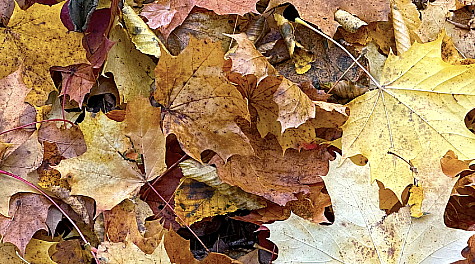 Screenshot 2025-11-27 at 10.13.28.png